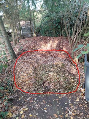 De &oogst& van 3 dagen...