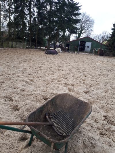 Nieuw zand in de paddock