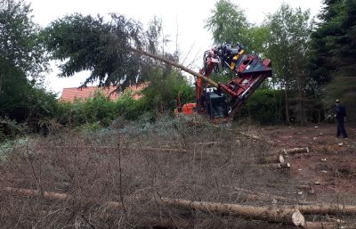 Bomen in de voortuin rooien