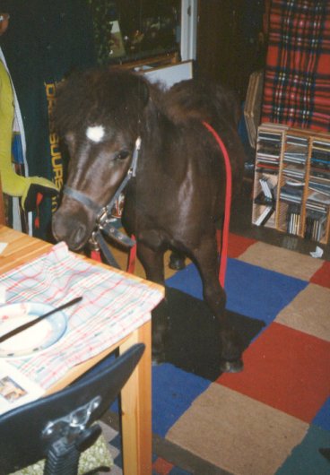 Max in de huiskamer