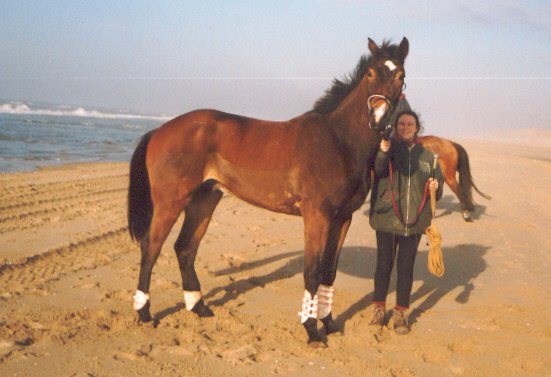 Nobby op het strand