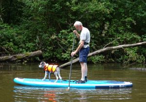 Met de hond op de plank