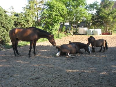 Watje wordt geboren (1)