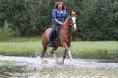 Watje in het water